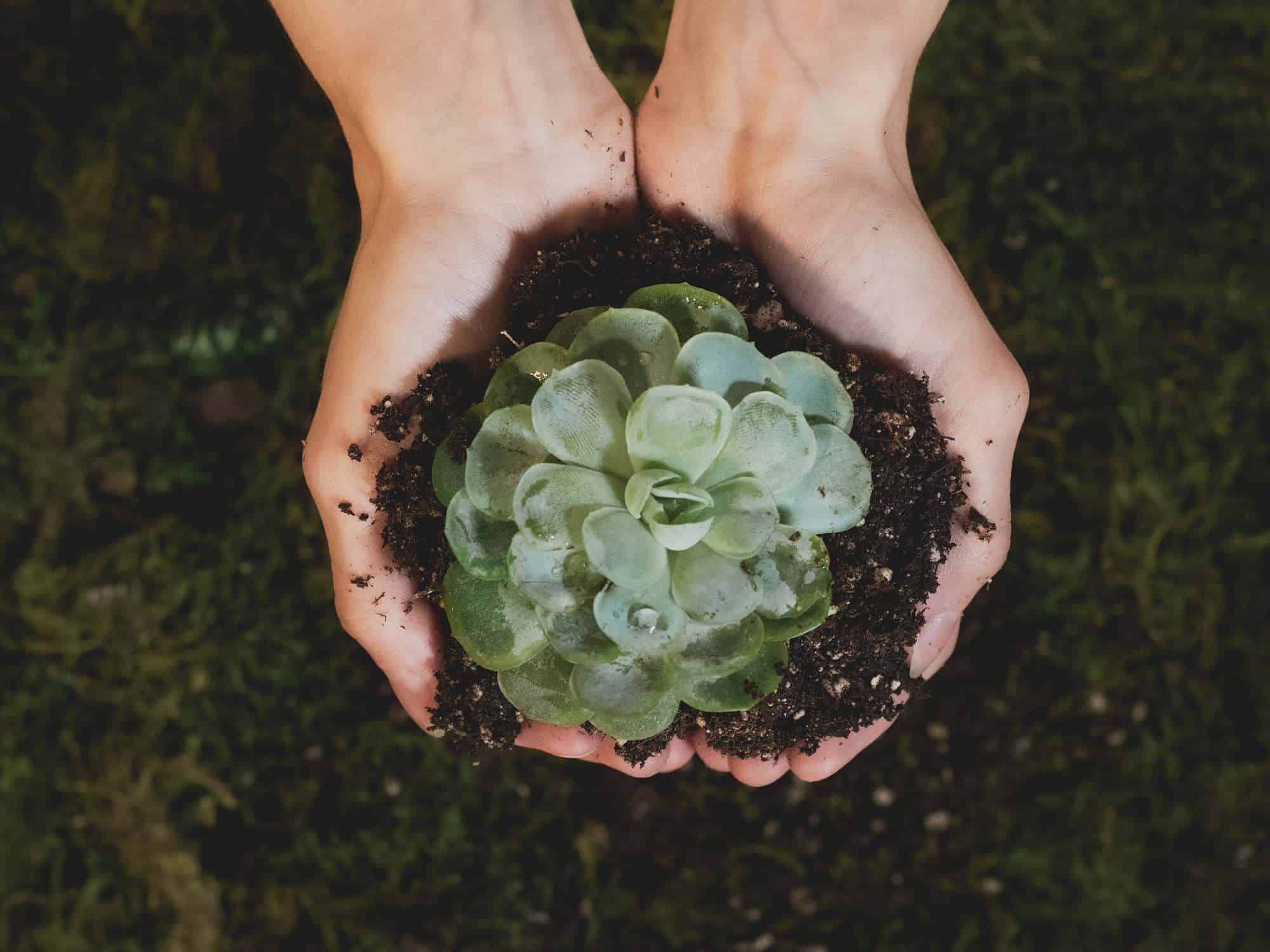 The Rise of Sustainable Investing: A New Era for Financial Markets